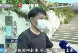 网红男朋友吃瓜爆料,娱乐圈背后的惊人真相