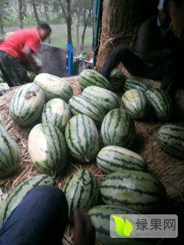 吃瓜爆料群5月16日,揭秘娱乐圈最新热点事件！”