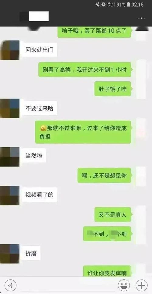 爆料吃瓜 聊天记录,吃瓜聊天记录背后的真相揭晓